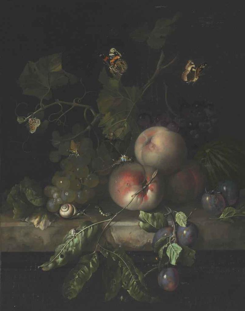 Still life of fruit, with insects, on a marble ledge title QS:P1476,en:"Still life of fruit, with insects, on a marble ledge " label QS:Len,"Still life of fruit, with insects, on a marble ledge " label QS:Lnl,"Vruchtenstilleven met insekten op een marmeren blad"
