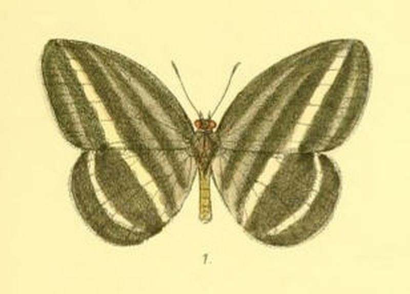 RagadiaCrisilda120 1