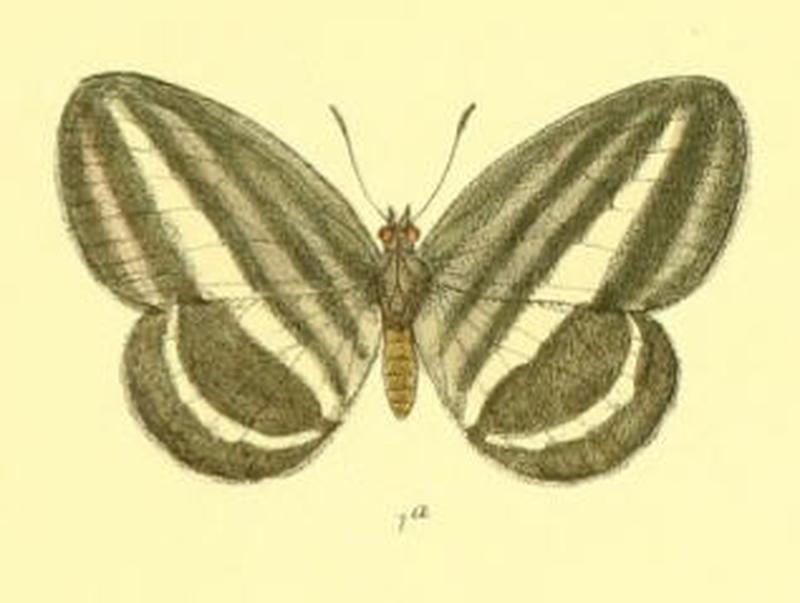 RagadiaCrisilda120 1a