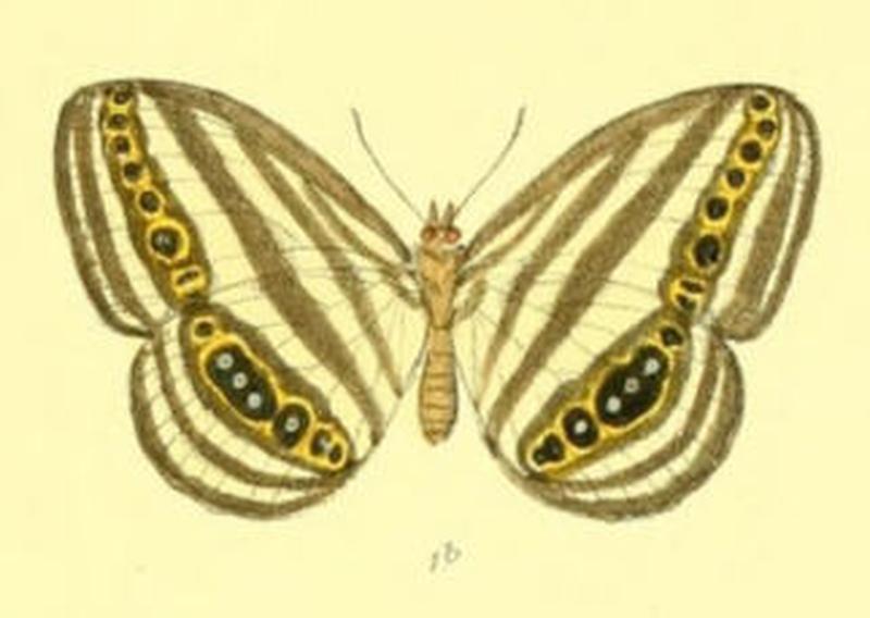 RagadiaCrisilda120 1b