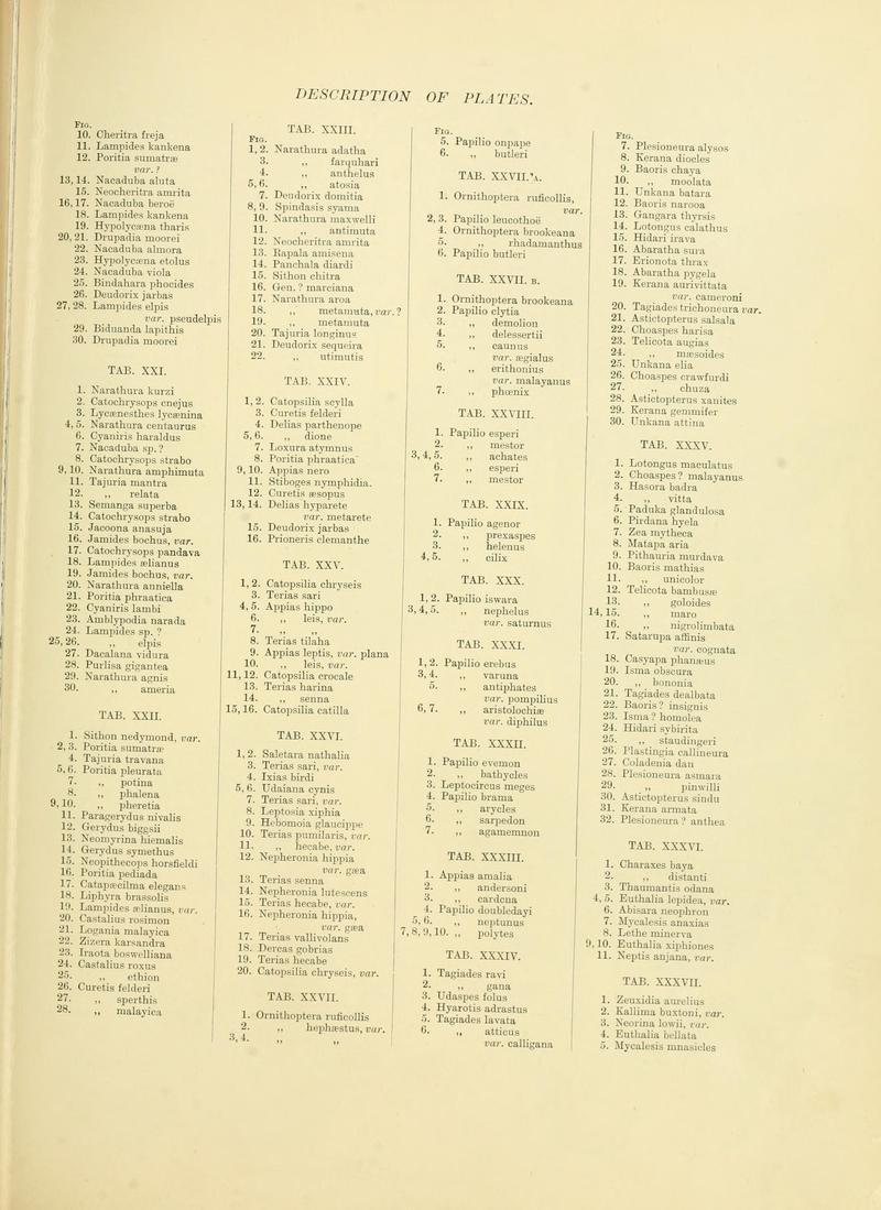 RhopaloceraMalayanaText