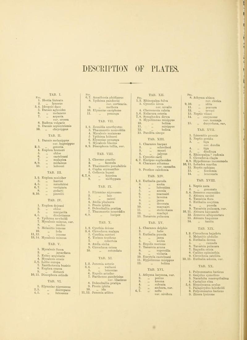 RhopaloceraMalayana BHLText1