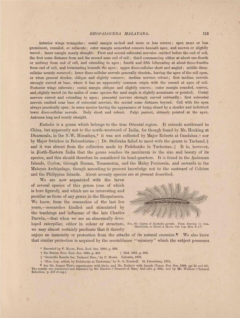 Rhopalocera Malayana -a description of the butterflies of the Malay Peninsula - with 46 coloured plates and 129 woodcuts (Page 115) BHL46291249