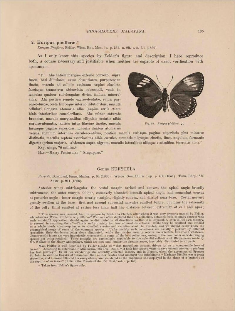 Rhopalocera Malayana -a description of the butterflies of the Malay Peninsula - with 46 coloured plates and 129 woodcuts (Page 135) BHL46291269