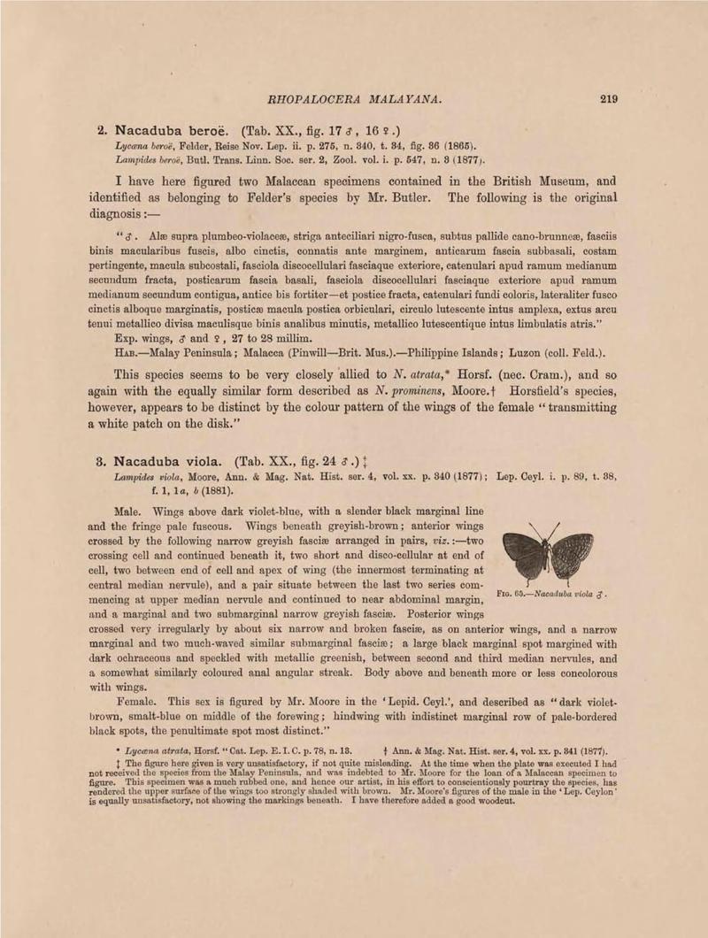 Rhopalocera Malayana -a description of the butterflies of the Malay Peninsula - with 46 coloured plates and 129 woodcuts (Page 219) BHL46291353