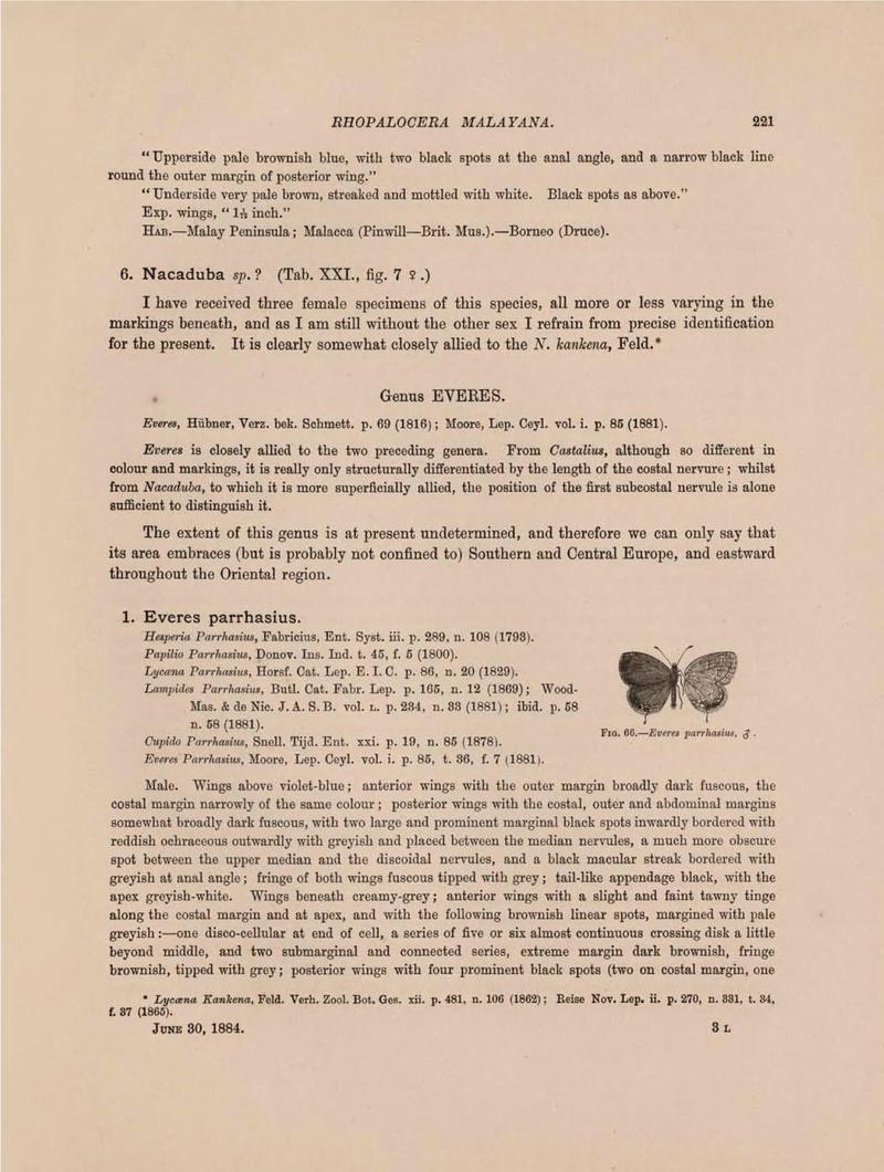 Rhopalocera Malayana -a description of the butterflies of the Malay Peninsula - with 46 coloured plates and 129 woodcuts (Page 221) BHL46291355