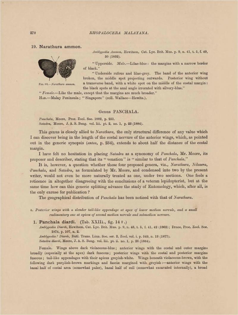 Rhopalocera Malayana -a description of the butterflies of the Malay Peninsula - with 46 coloured plates and 129 woodcuts (Page 272) BHL46291406