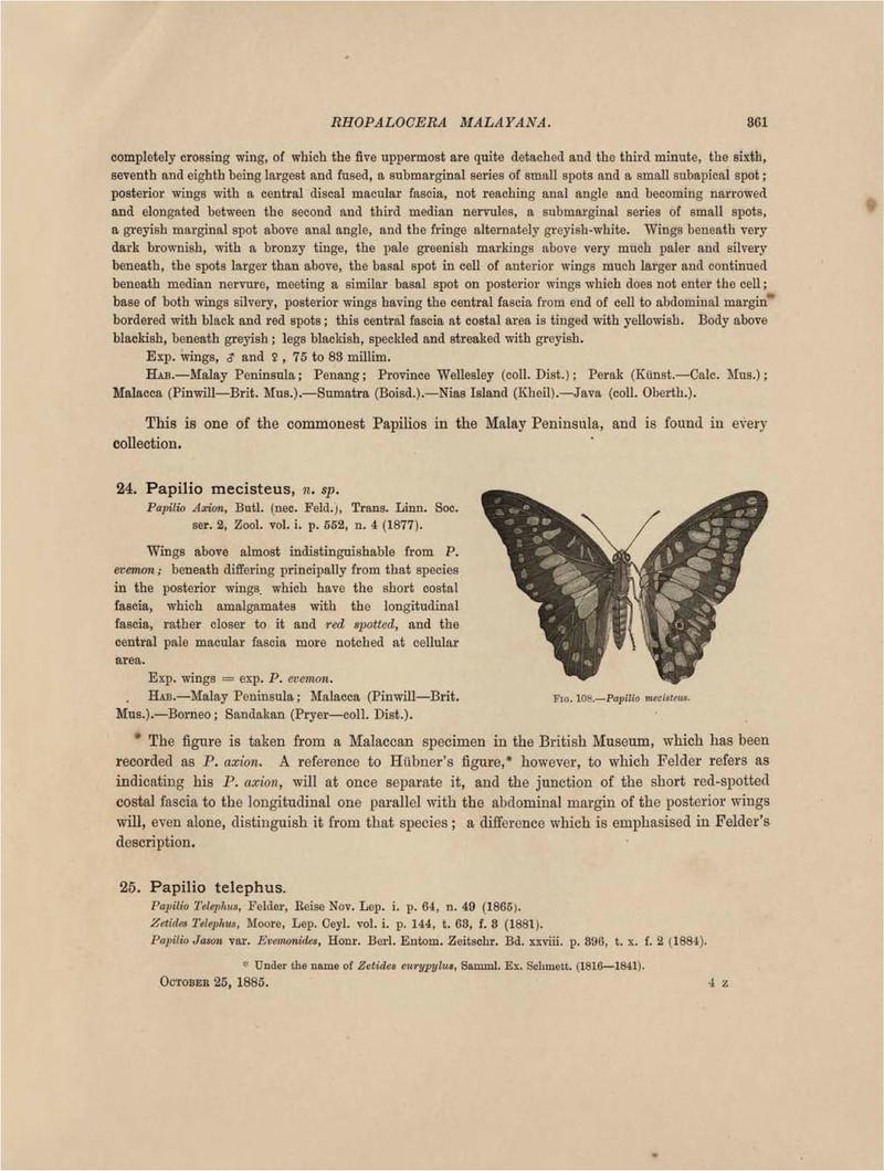 Rhopalocera Malayana -a description of the butterflies of the Malay Peninsula - with 46 coloured plates and 129 woodcuts (Page 361) BHL46291495