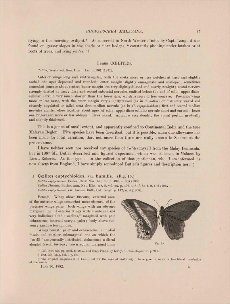 Rhopalocera Malayana -a description of the butterflies of the Malay Peninsula - with 46 coloured plates and 129 woodcuts (Page 45) BHL46291126