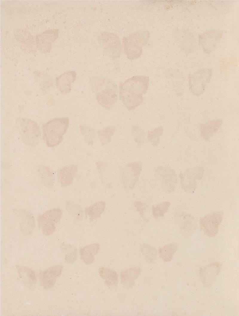 Rhopalocera Malayana -a description of the butterflies of the Malay Peninsula - with 46 coloured plates and 129 woodcuts BHL46291662