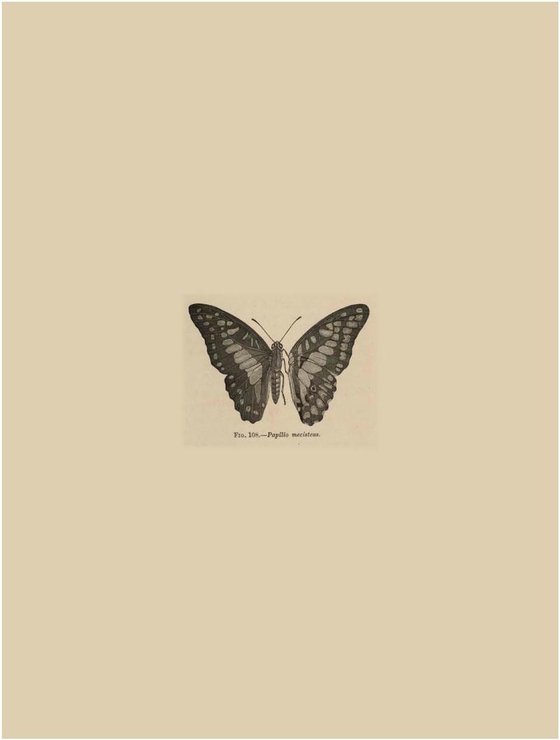 Rhopalocera Malayana -a description of the butterflies of the Malay Peninsula - with 46 coloured plates and 129 woodcuts BHL46291786
