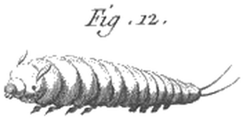 Rozier - Cours d’agriculture, tome 5, pl. 9, fig12