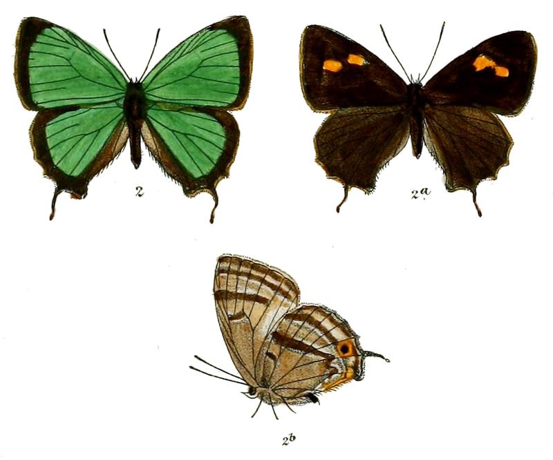 RuralisDuma 703 2 Fitch