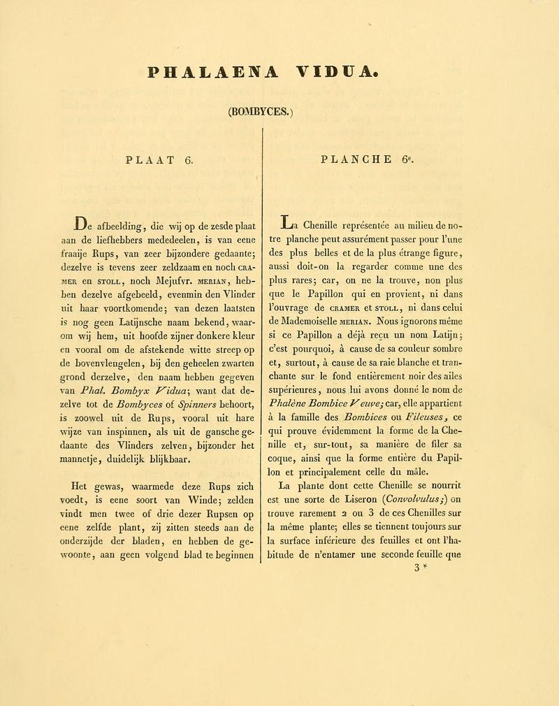 Sepp-Surinaamsche vlinders - pl 006 text1 descr. as Phalaena vidua