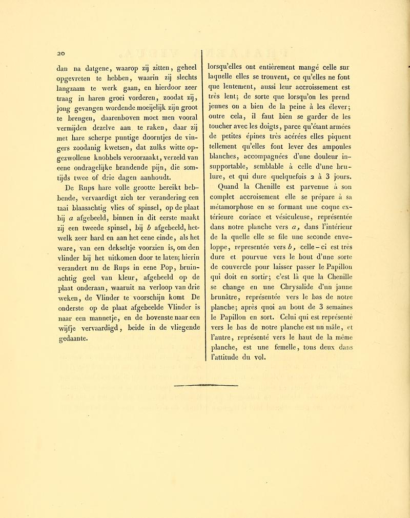 Sepp-Surinaamsche vlinders - pl 006 text2 descr. as Phalaena vidua