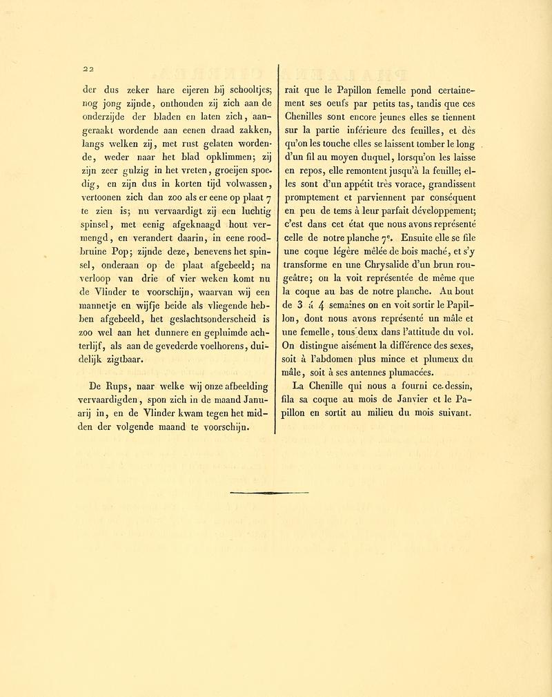 Sepp-Surinaamsche vlinders - pl 007 text2 descr. as Phalaena cinerea