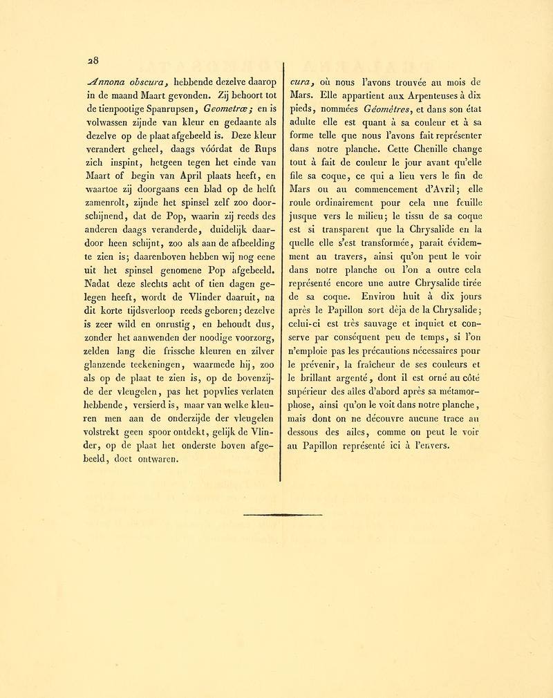 Sepp-Surinaamsche vlinders - pl 010 text2 descr. as Phalaena formosata