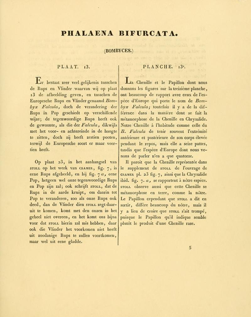 Sepp-Surinaamsche vlinders - pl 013 text1 descr. as Phalaena bifurcata