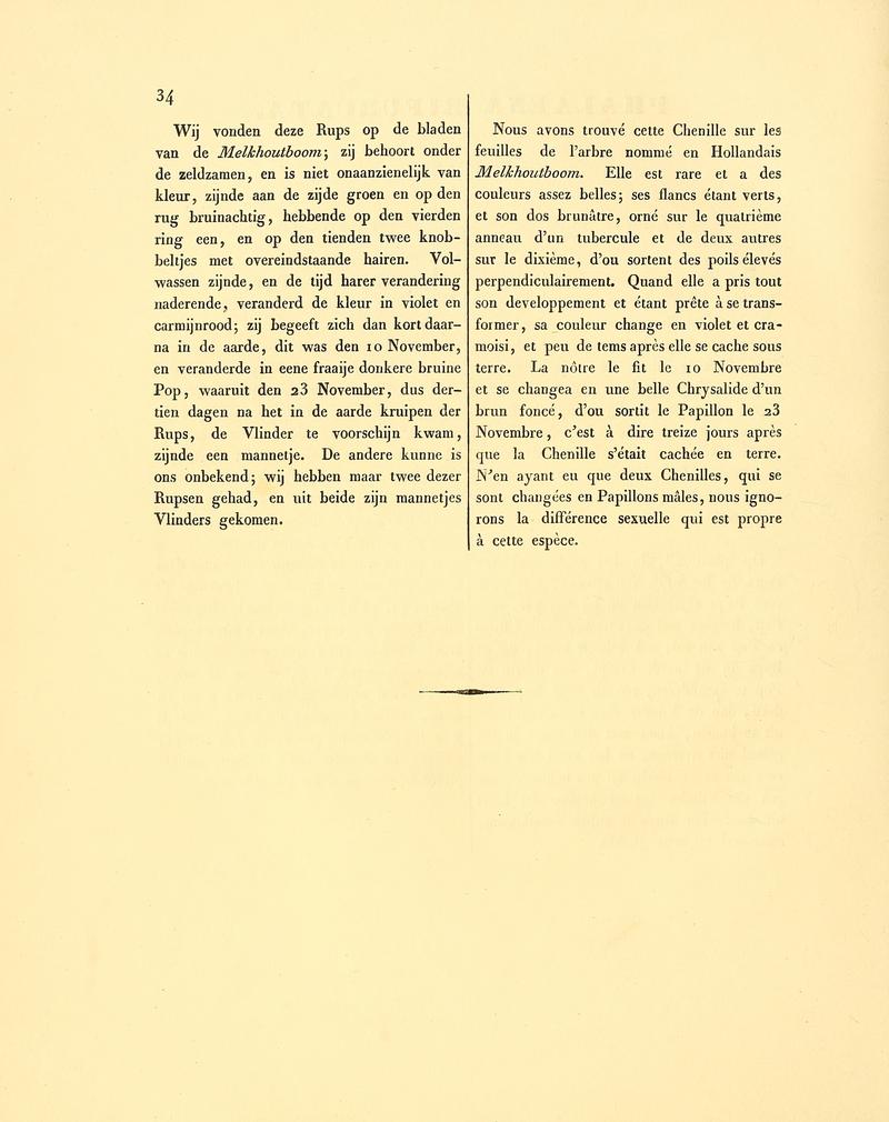 Sepp-Surinaamsche vlinders - pl 013 text2 descr. as Phalaena bifurcata