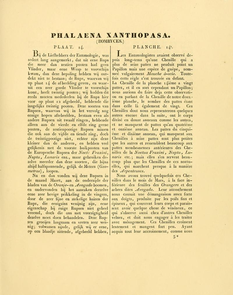 Sepp-Surinaamsche vlinders - pl 014 text1 Megalopyge xanthopasa