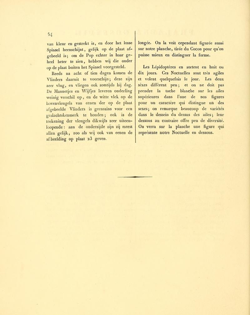 Sepp-Surinaamsche vlinders - pl 023 text2 descr. as Phalaena gossypii