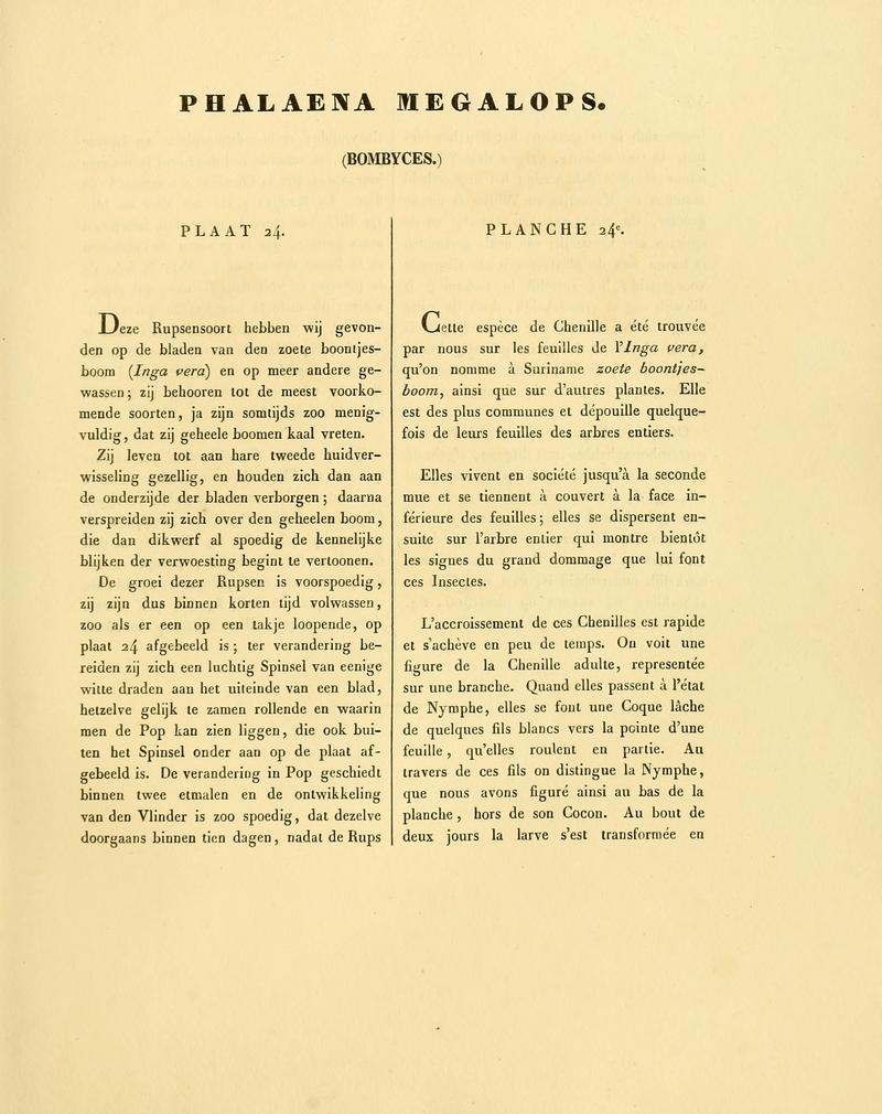 Sepp-Surinaamsche vlinders - pl 024 text1 descr. as Phalaena megalops