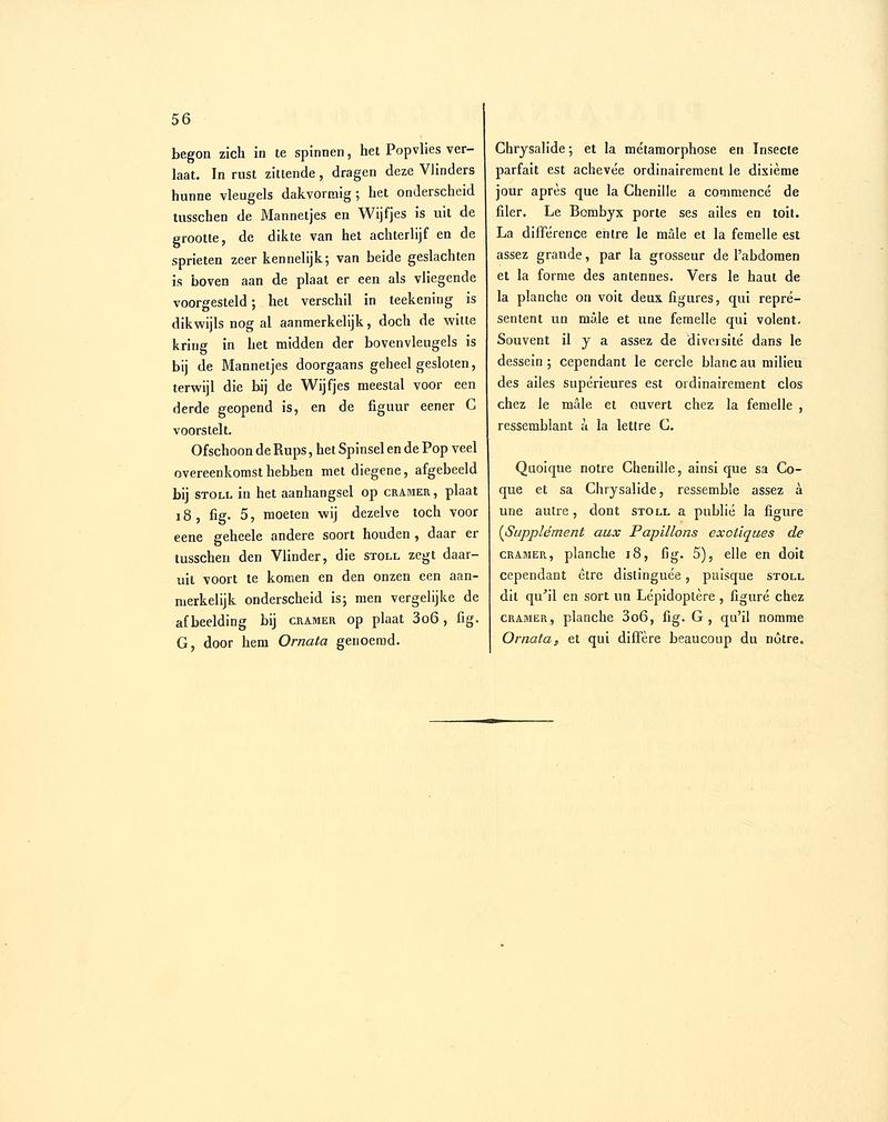 Sepp-Surinaamsche vlinders - pl 024 text2 descr. as Phalaena megalops