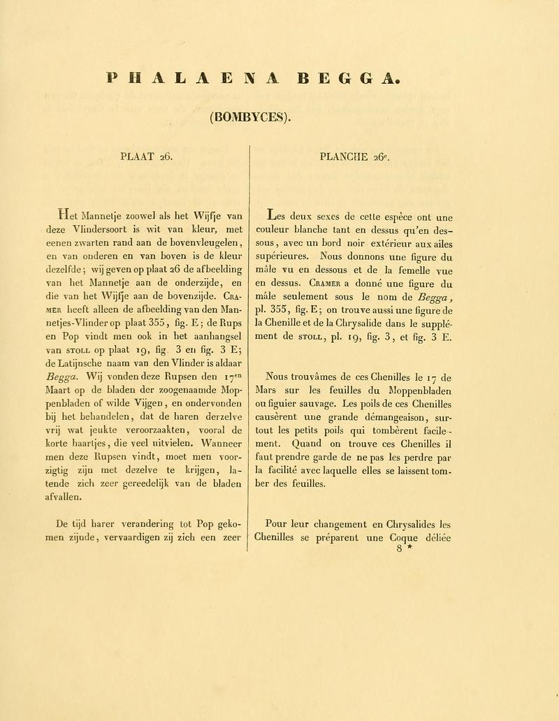 Sepp-Surinaamsche vlinders - pl 026 text1 descr. as Phalaena begga