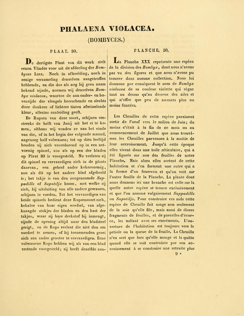 Sepp-Surinaamsche vlinders - pl 030 text1 descr. as Phalaena violacea