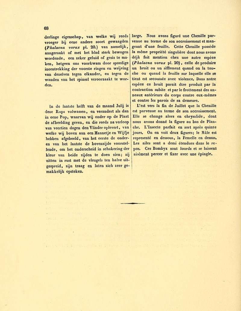 Sepp-Surinaamsche vlinders - pl 030 text2 descr. as Phalaena violacea