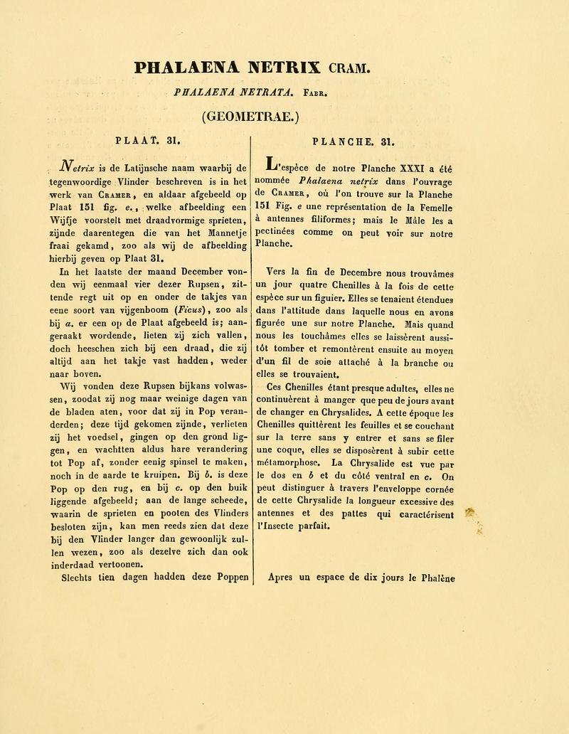 Sepp-Surinaamsche vlinders - pl 031 text1 descr. as Phalaena netrix