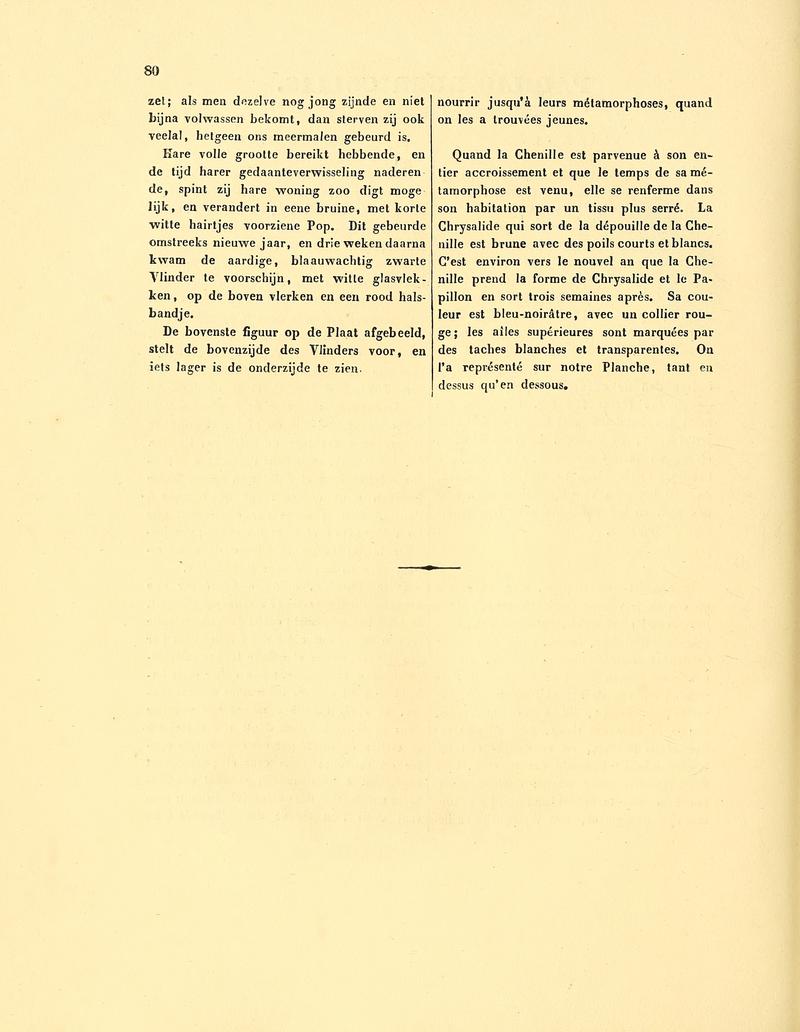 Sepp-Surinaamsche vlinders - pl 036 text2 Gunayan rubricollis