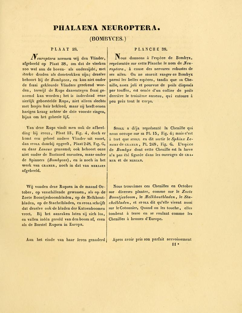 Sepp-Surinaamsche vlinders - pl 038 text1 descr. as Phalaena neuroptera