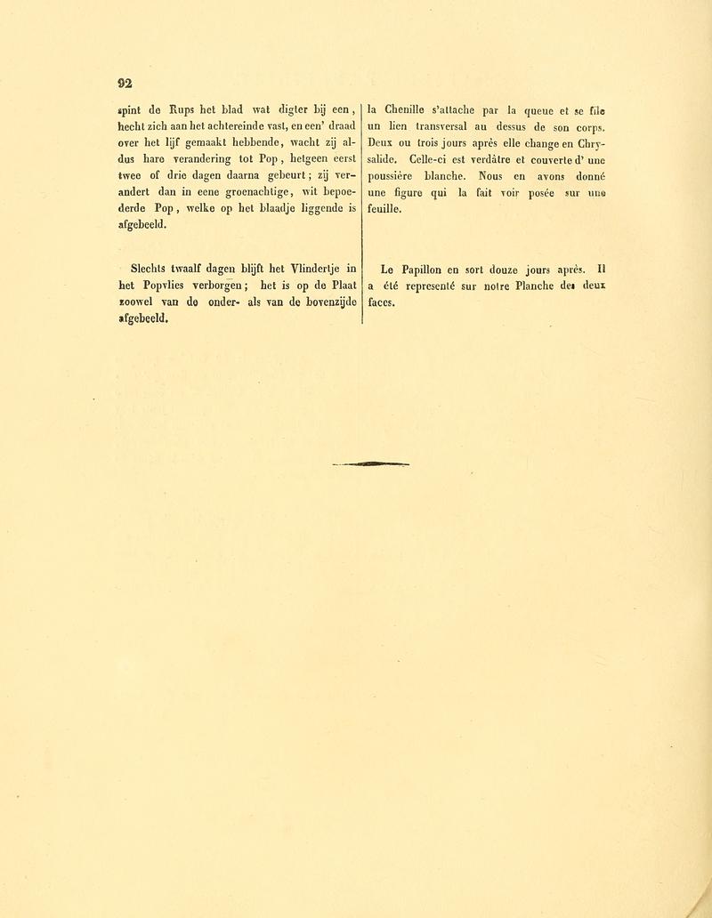 Sepp-Surinaamsche vlinders - pl 042 text2 Pseudonascus paulliniae