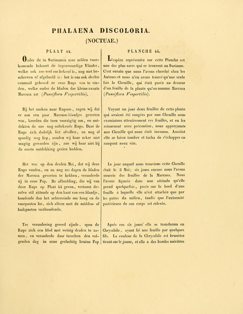 Sepp-Surinaamsche vlinders - pl 044 text1 descr. as Phalaena discoloria