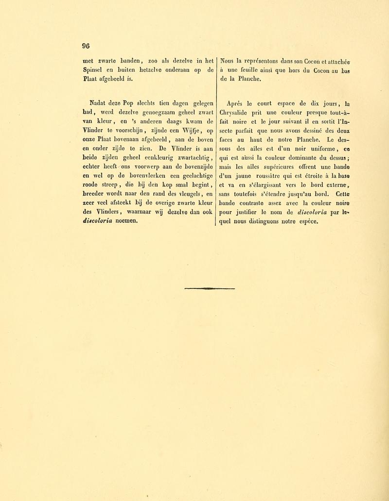 Sepp-Surinaamsche vlinders - pl 044 text2 descr. as Phalaena discoloria