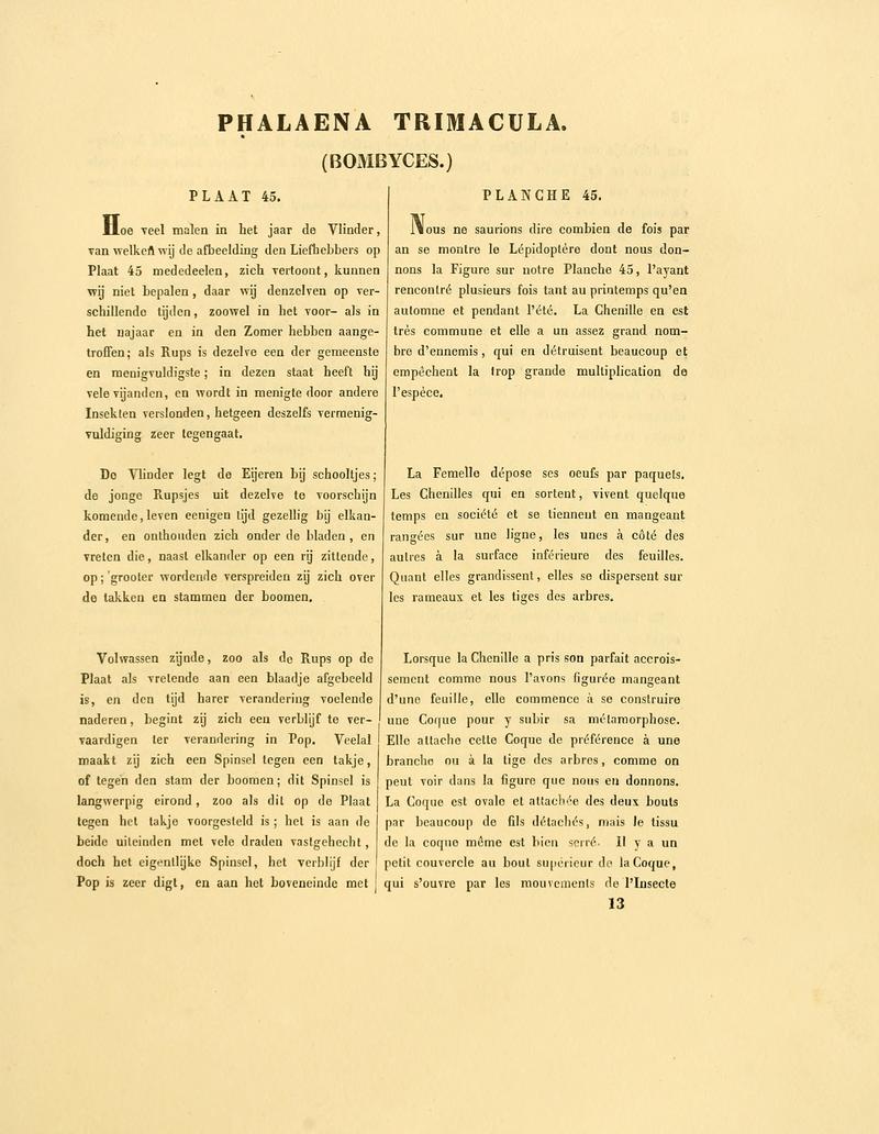 Sepp-Surinaamsche vlinders - pl 045 text1 descr. as Phalaena trimacula