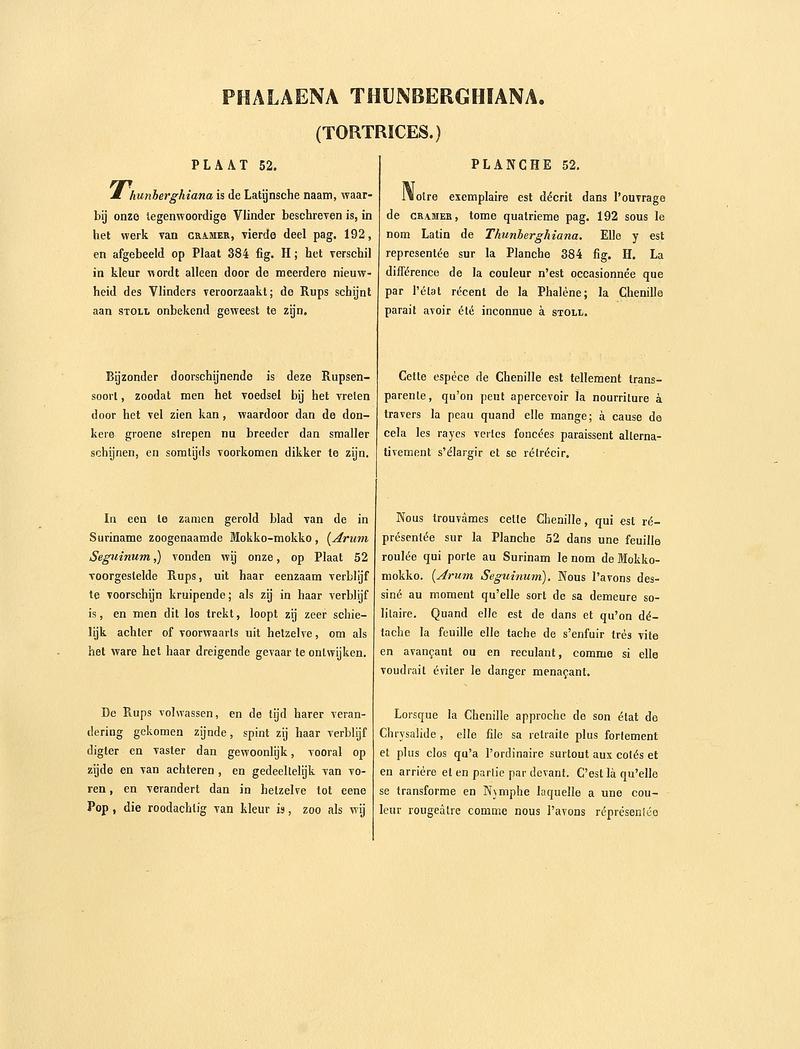 Sepp-Surinaamsche vlinders - pl 052 text1 descr. as Phalaena thunberghiana or thunbergiana