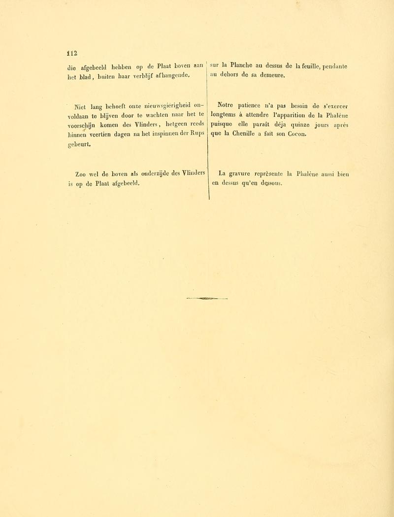 Sepp-Surinaamsche vlinders - pl 052 text2 descr. as Phalaena thunberghiana or thunbergiana
