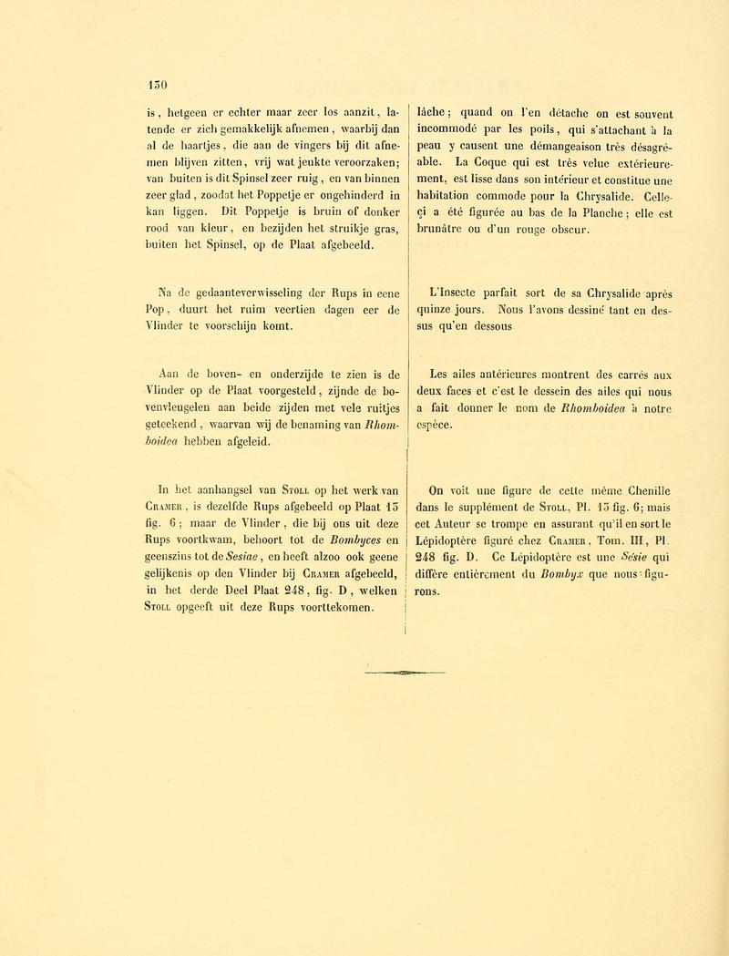 Sepp-Surinaamsche vlinders - pl 061 text2 descr. as Phalaena rhomboidea