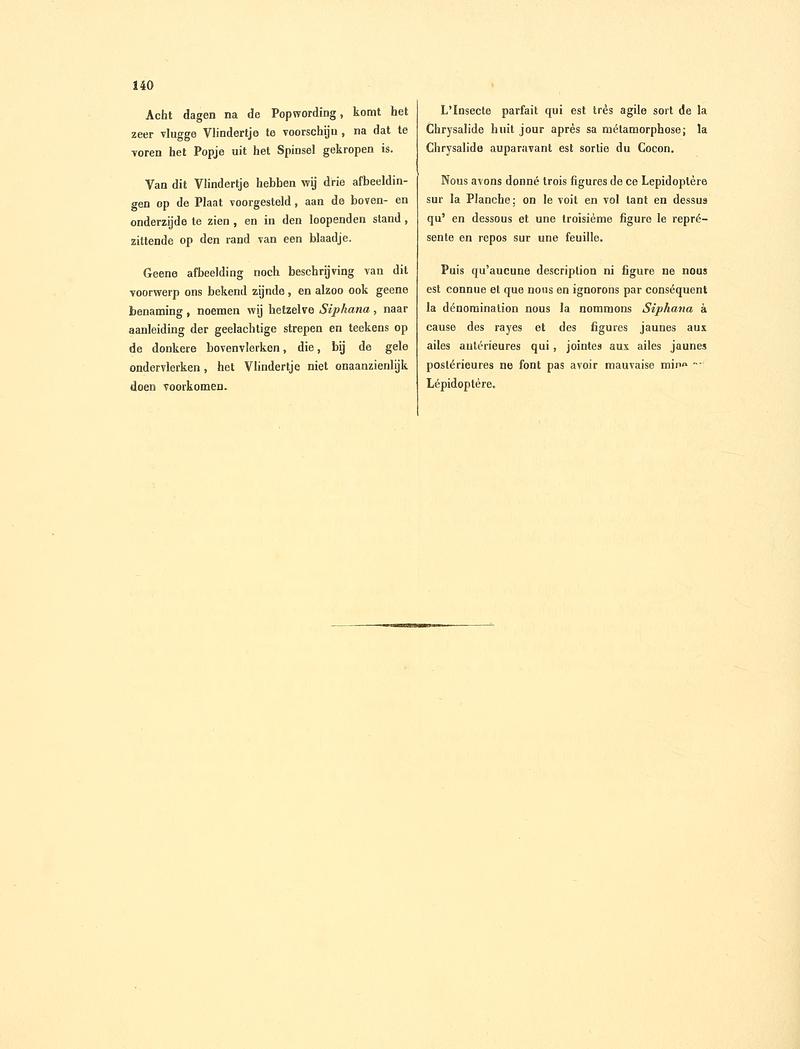 Sepp-Surinaamsche vlinders - pl 066 text2 descr. as Phalaena siphana