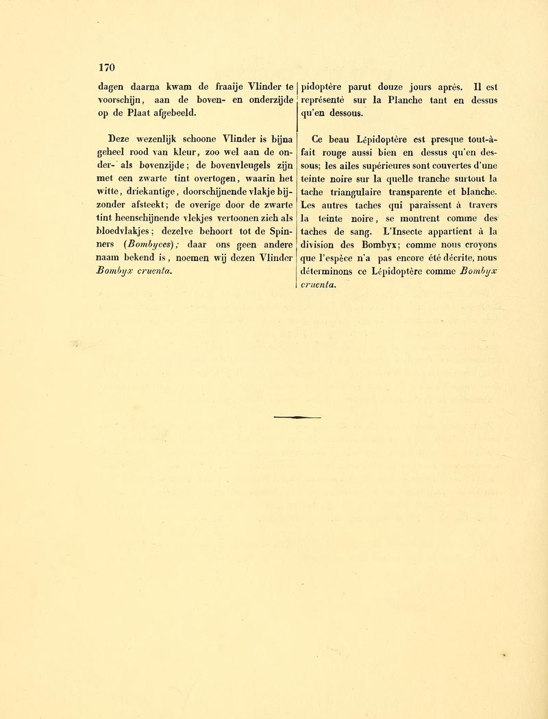 Sepp-Surinaamsche vlinders - pl 073 text2 descr. as Phalaena cruenta