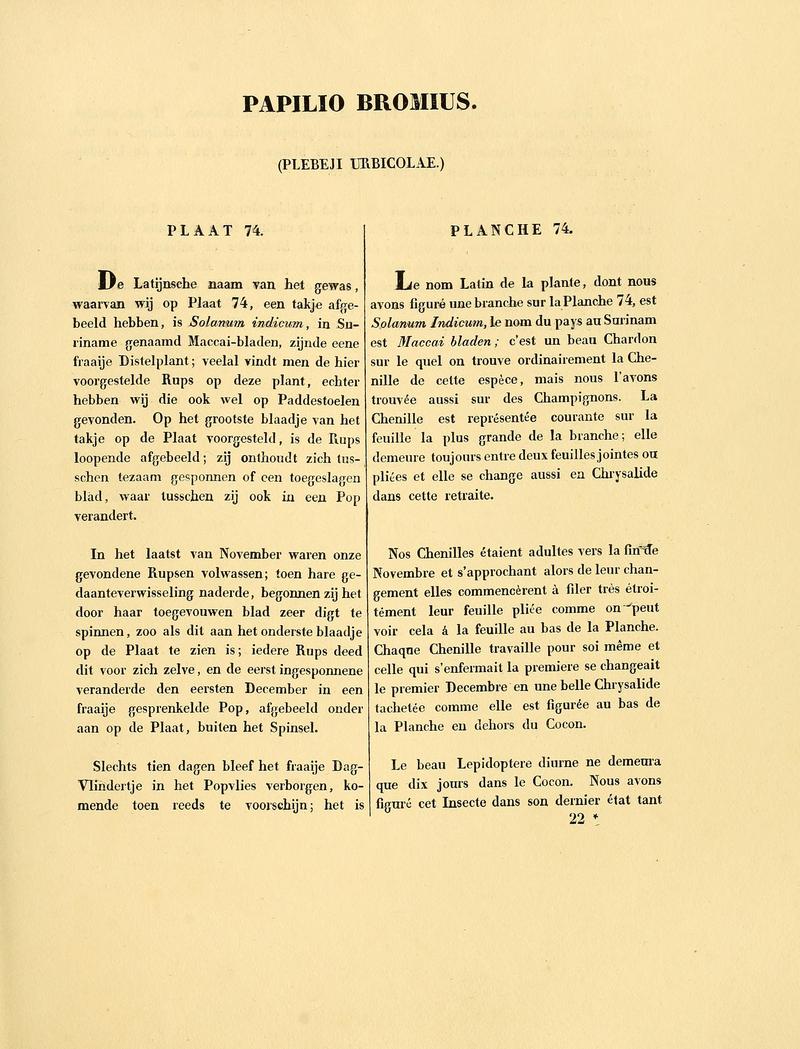 Sepp-Surinaamsche vlinders - pl 074 text1 Papilio sp