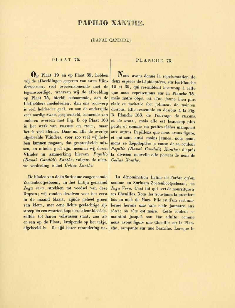 Sepp-Surinaamsche vlinders - pl 075 text1 descr. as Papilio xanthe