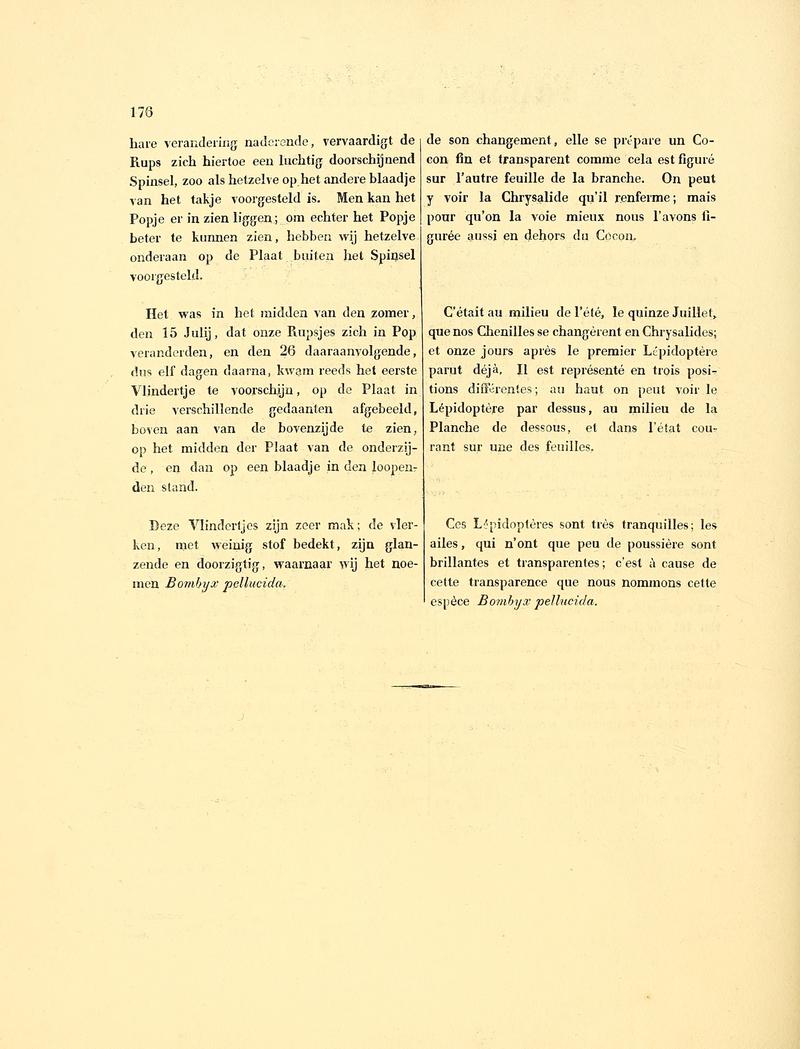 Sepp-Surinaamsche vlinders - pl 076 text2 descr. as Phalaena pellucida