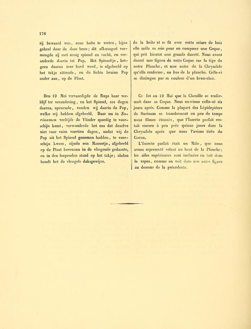 Sepp-Surinaamsche vlinders - pl 077 text2 descr. as Phalaena tessellata