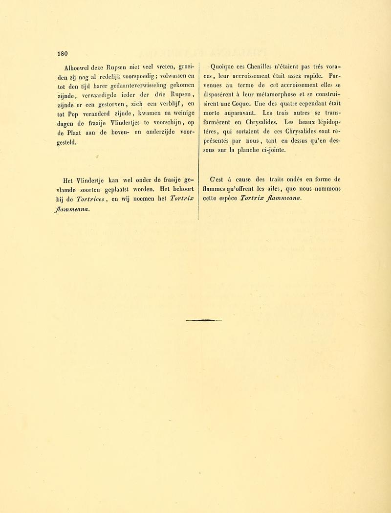 Sepp-Surinaamsche vlinders - pl 078 text2 descr. as Phalaena flammeana
