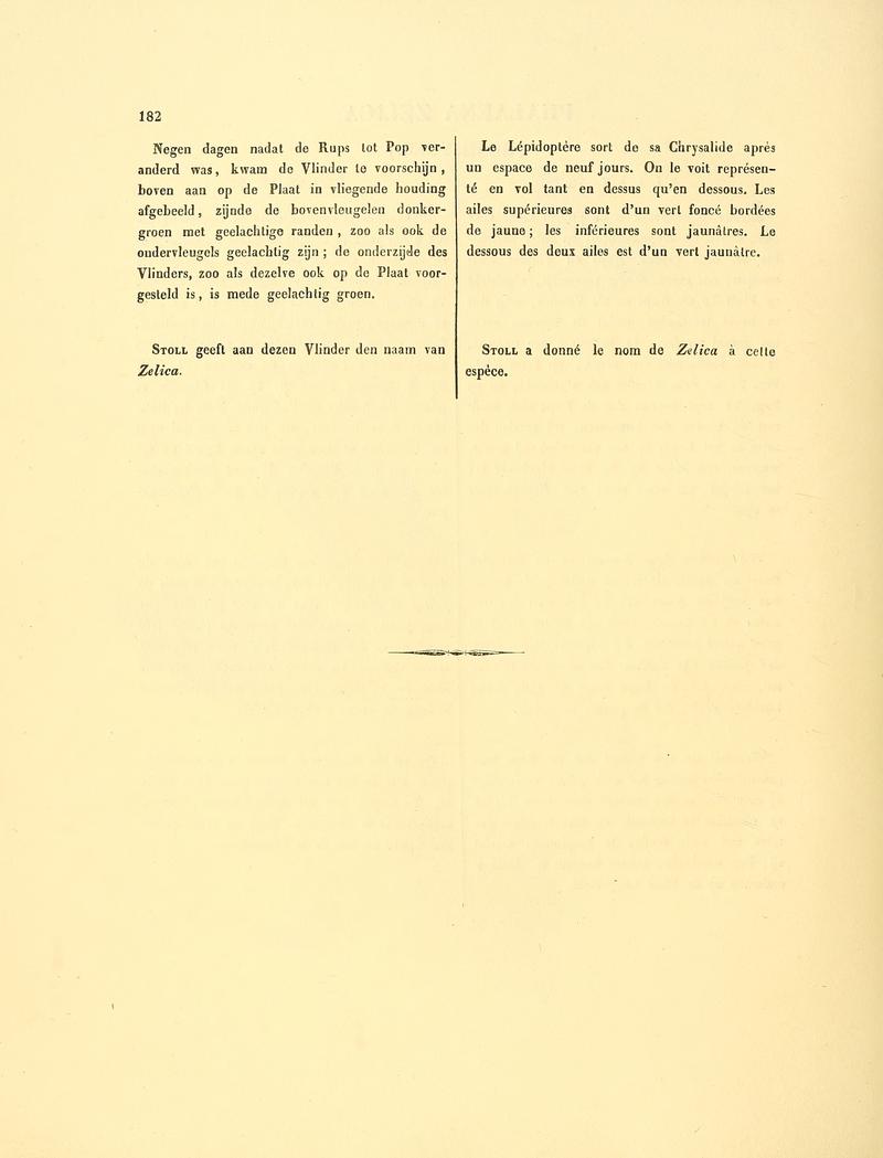 Sepp-Surinaamsche vlinders - pl 079 text2 Rosema sp