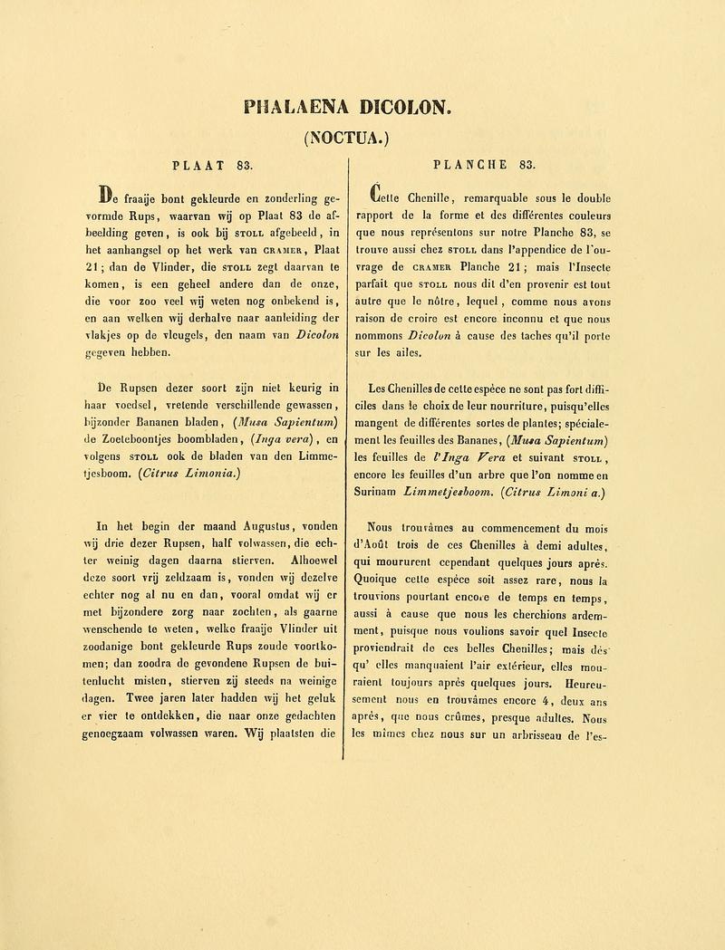 Sepp-Surinaamsche vlinders - pl 083 text1 descr as Phalaena dicolon