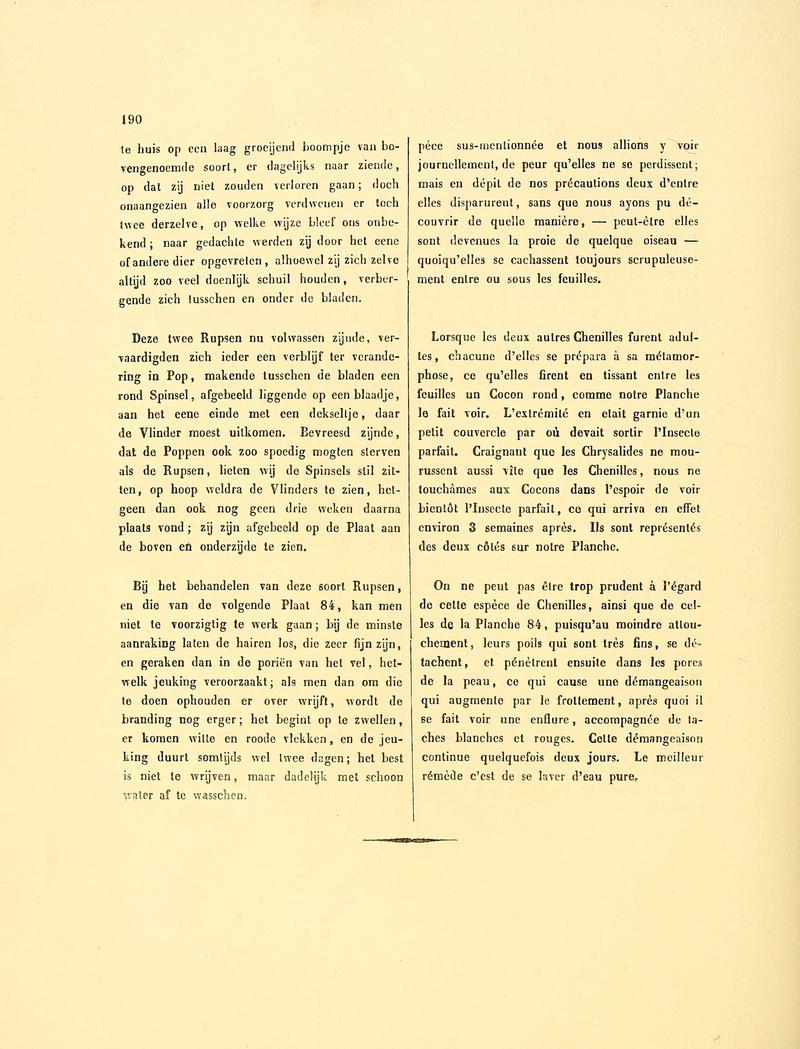 Sepp-Surinaamsche vlinders - pl 083 text2 descr as Phalaena dicolon